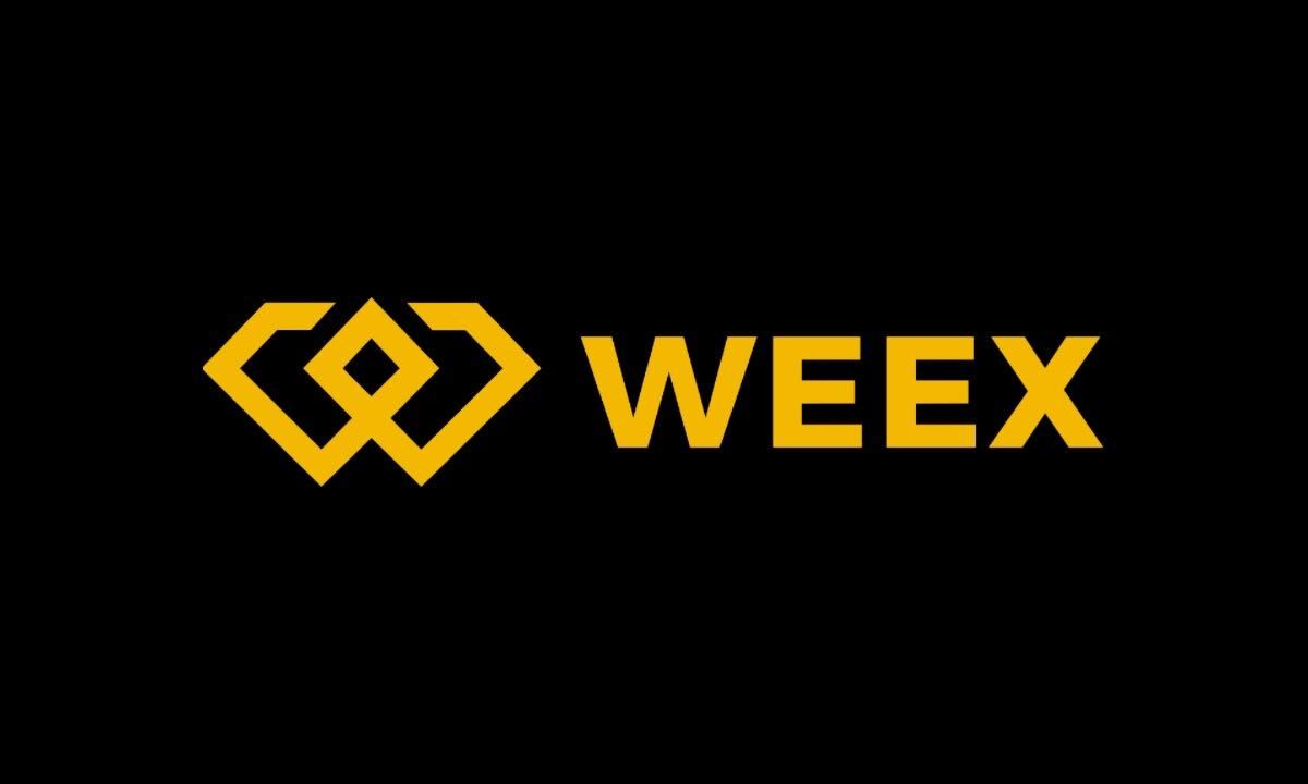 WEEX合约Pro将上线 CELO/ GLMR/ STRK/ VET U本位合约-H5资源网